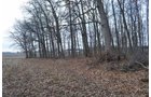 Property photo 87 - 98+/- Acres Offered in 6 Tracts or Combinations, Noble County, Indiana Farm